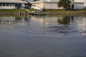 Enlarge photo 98