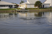 Enlarge photo 99