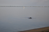 Enlarge photo 100
