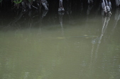 Enlarge photo 105