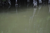Enlarge photo 106