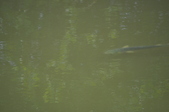 Enlarge photo 107