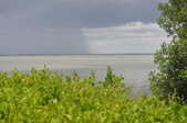 Enlarge photo 110