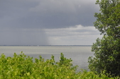 Enlarge photo 111