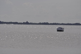 Enlarge photo 115