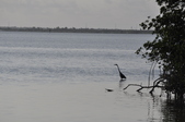 Enlarge photo 119