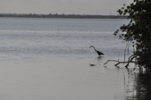 Enlarge photo 121