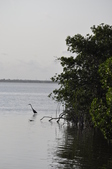 Enlarge photo 122