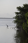 Enlarge photo 123