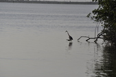 Enlarge photo 137
