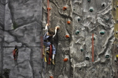 Enlarge photo 105