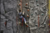 Enlarge photo 107