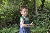 Enlarge photo 26