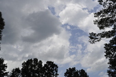 Enlarge photo 33