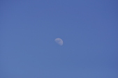 Enlarge photo 35