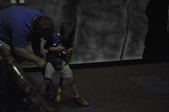 Enlarge photo 38