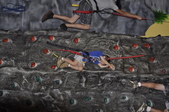 Enlarge photo 55