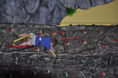 Enlarge photo 58