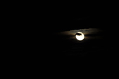 Enlarge photo 82