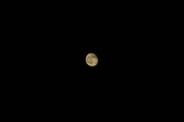 Enlarge photo 84