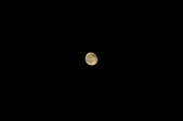 Enlarge photo 89