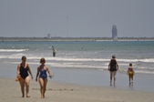 Enlarge photo 268