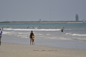 Enlarge photo 269