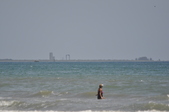 Enlarge photo 273