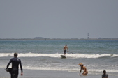 Enlarge photo 274