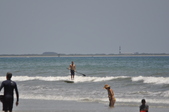 Enlarge photo 275