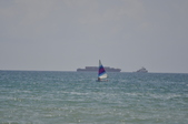 Enlarge photo 276