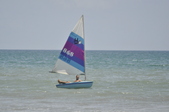 Enlarge photo 290