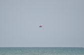 Enlarge photo 291