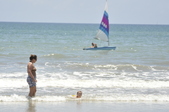 Enlarge photo 295