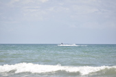 Enlarge photo 298