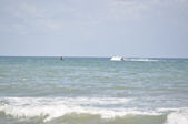 Enlarge photo 299