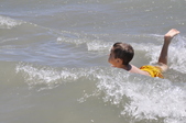 Enlarge photo 306