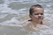 Enlarge photo 316