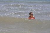 Enlarge photo 323