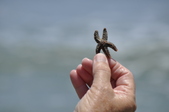 Enlarge photo 26