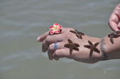 Enlarge photo 33