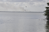 Enlarge photo 36