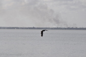 Enlarge photo 40