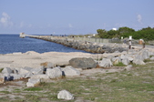 Enlarge photo 41