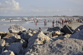 Enlarge photo 55