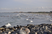 Enlarge photo 57