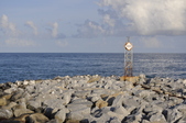 Enlarge photo 61