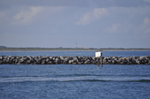 Enlarge photo 65