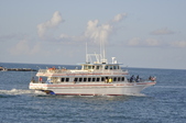 Enlarge photo 73