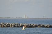 Enlarge photo 74